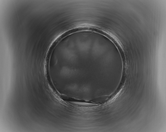 X0000116450783200912151259