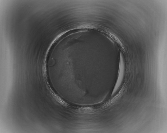 X0000116450784200912151259