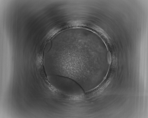 X0000116450785200912151259