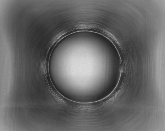 X0000116450786200912151259