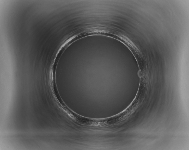 X0000116450790200912151259