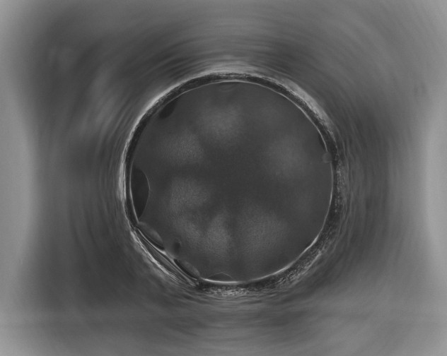 X0000116450791200912151259