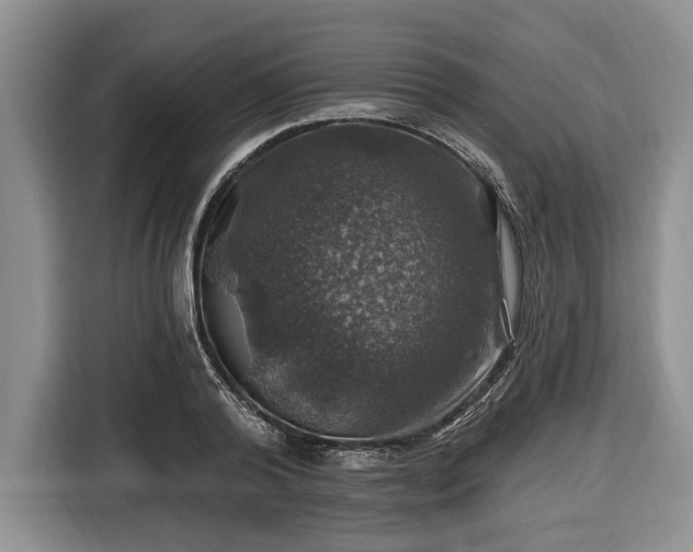 X0000116450792200912151259