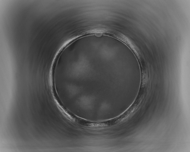 X0000116450795200912151259