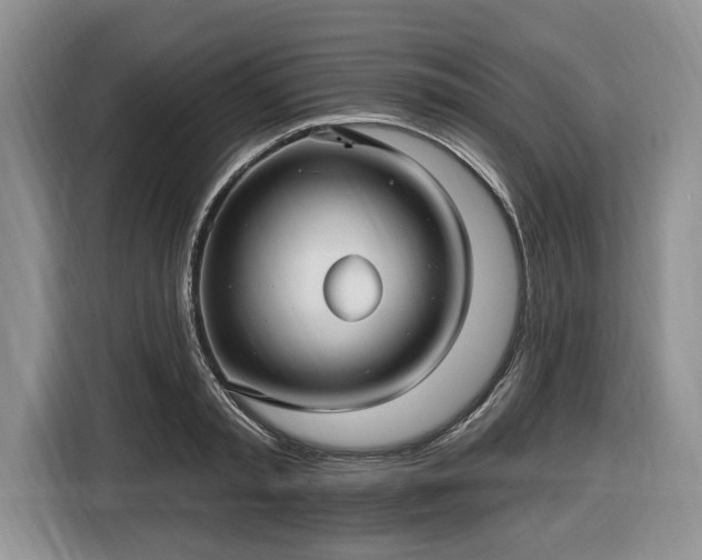 X0000116450797200912151259