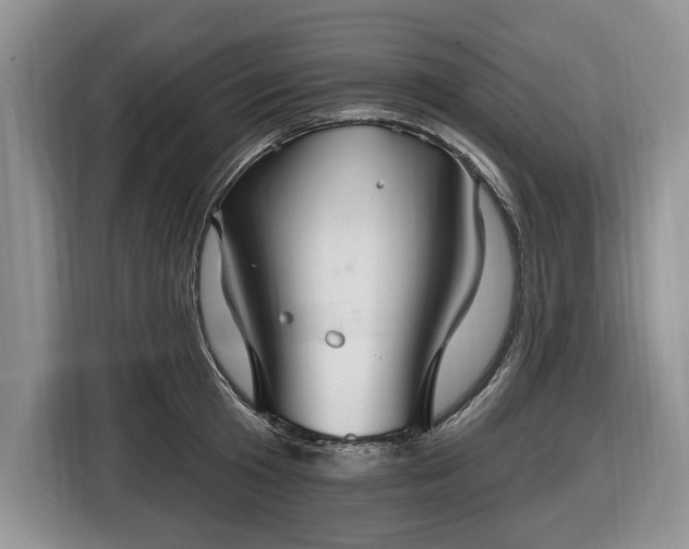 X0000116450801200912151259