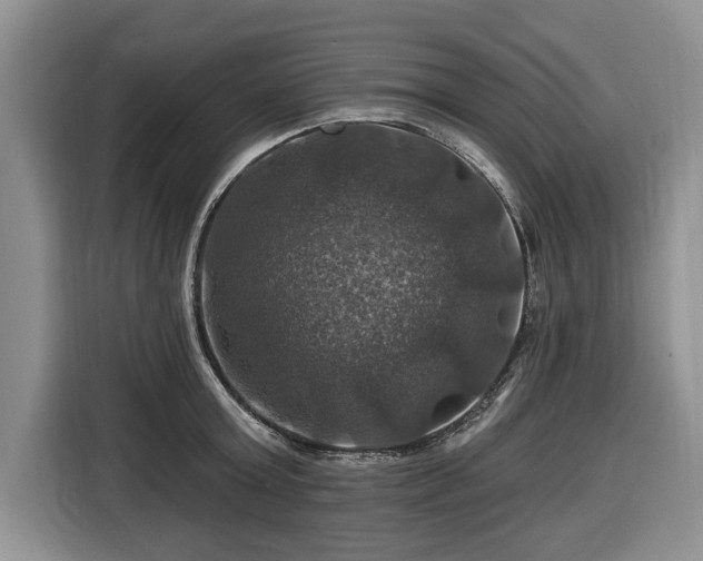 X0000116450803200912151259