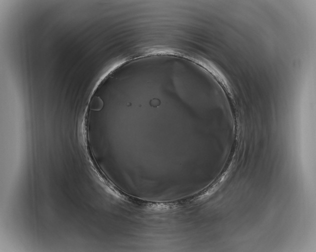 X0000116450806200912151259