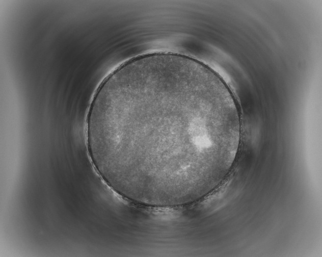 X0000116450807200912151259