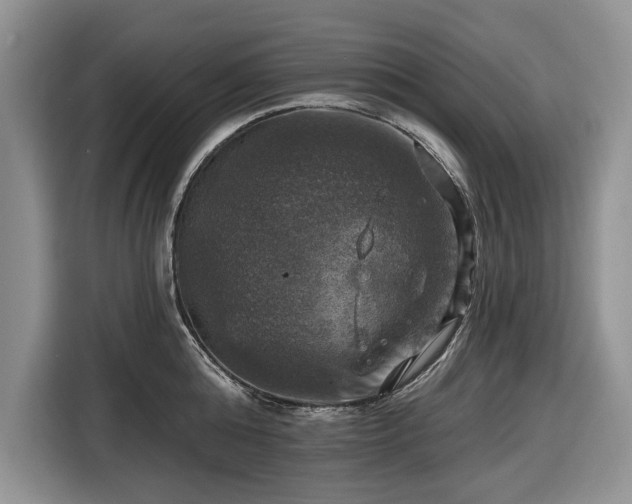 X0000116450808200912151259
