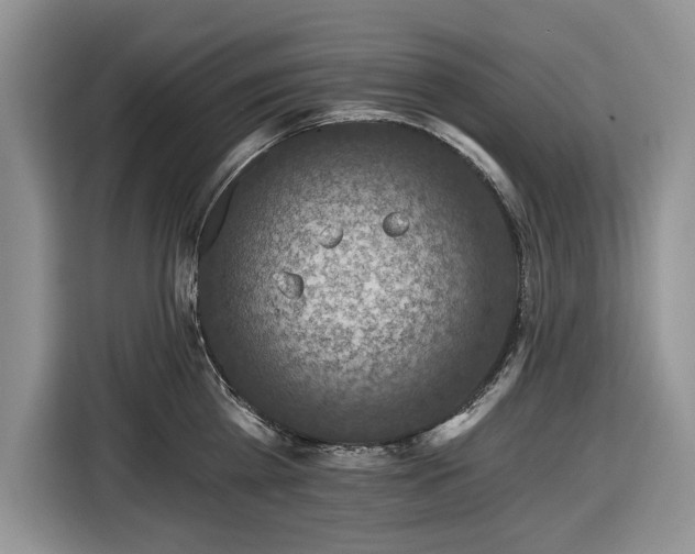 X0000116450809200912151259