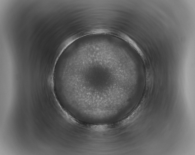 X0000116450810200912151259