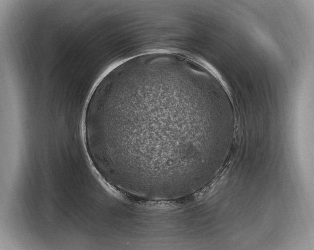 X0000116450811200912151259