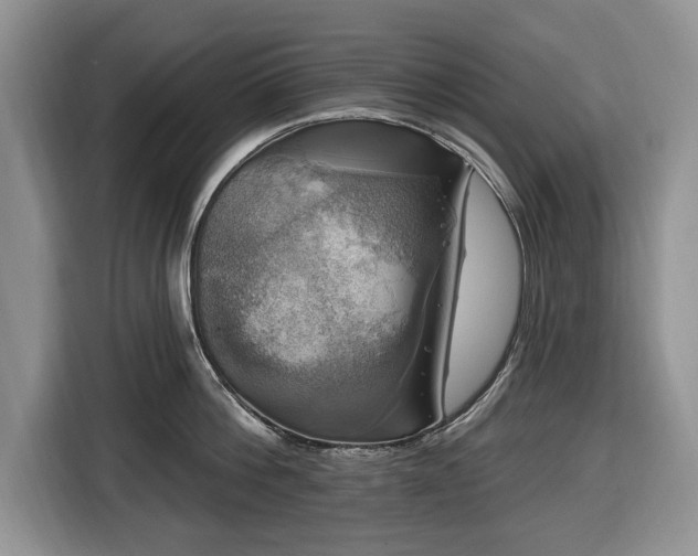 X0000116450812200912151259