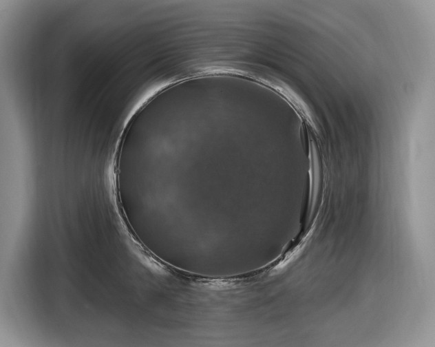 X0000116450814200912151259