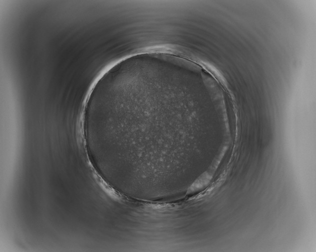 X0000116450816200912151259