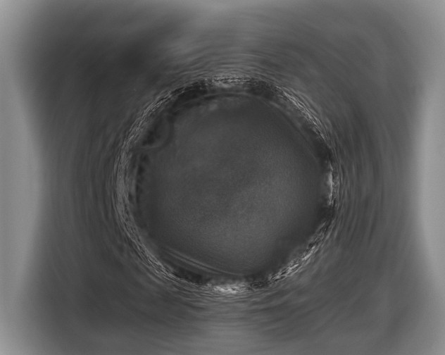 X0000116450817200912151258