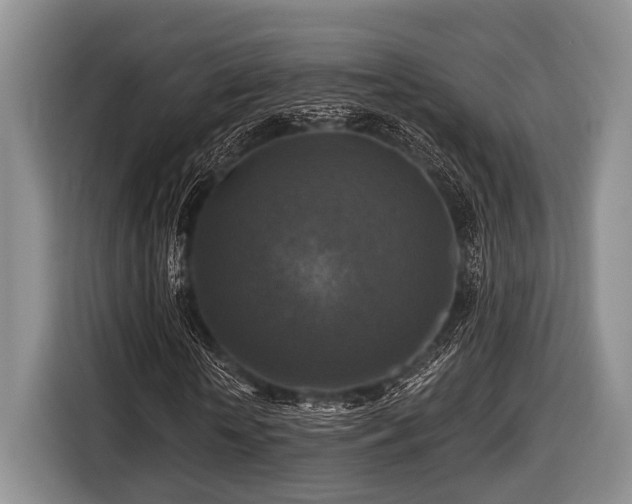 X0000116450818200912151258