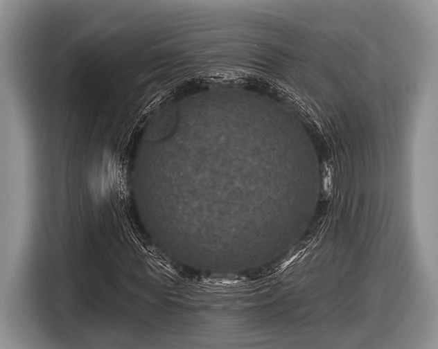 X0000116450819200912151258