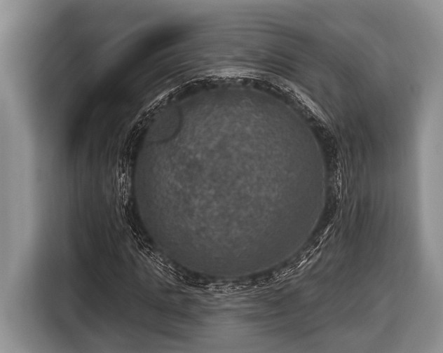 X0000116450821200912151258
