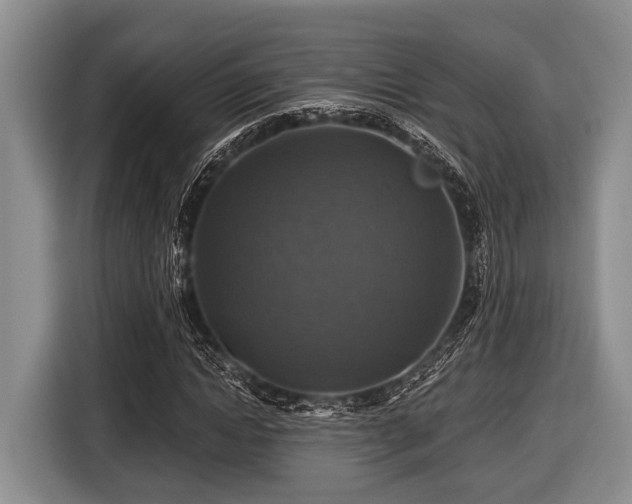 X0000116450822200912151258