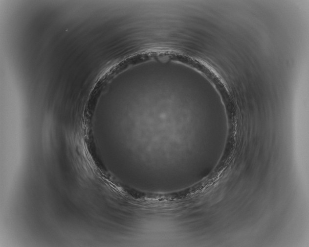 X0000116450823200912151258