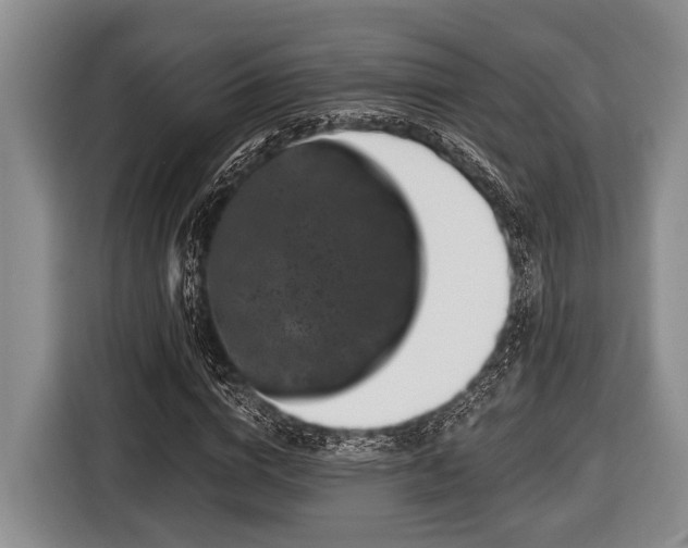 X0000116450824200912151258