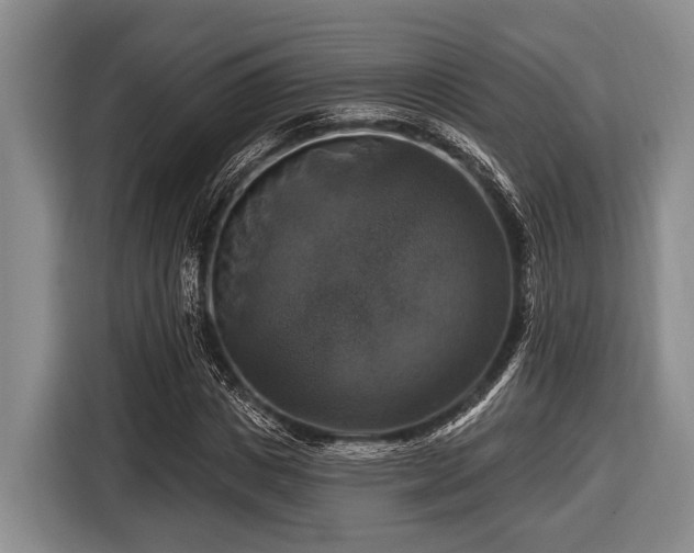 X0000116450825200912151258