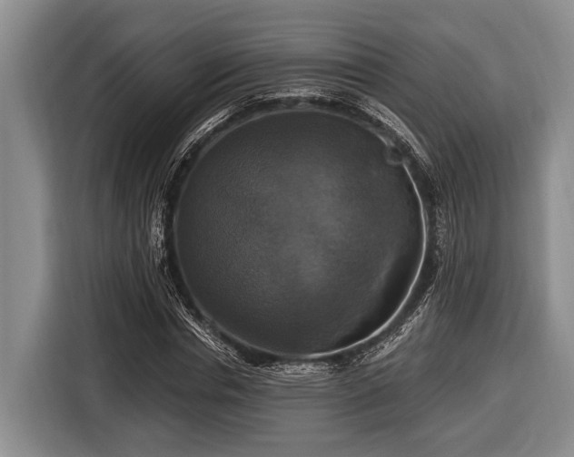 X0000116450826200912151258
