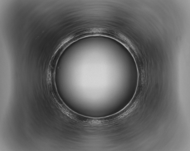 X0000116450827200912151258