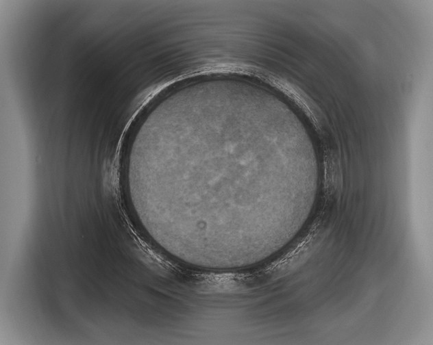 X0000116450828200912151258