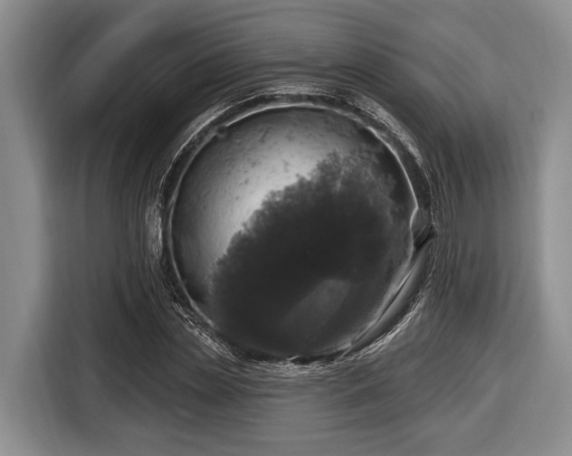 X0000116450829200912151258