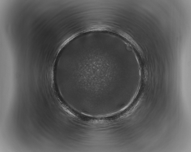 X0000116450834200912151258