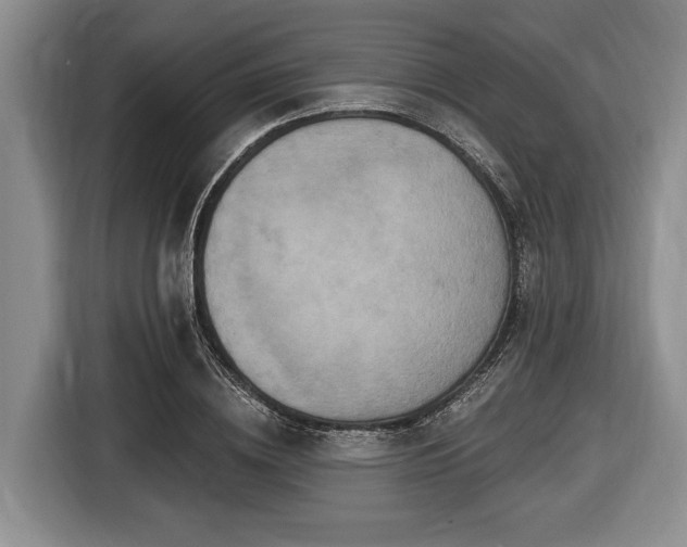 X0000116450836200912151258
