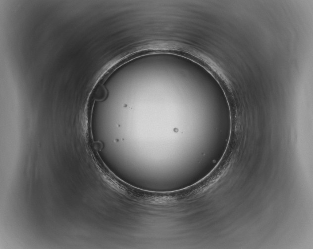 X0000116450837200912151258
