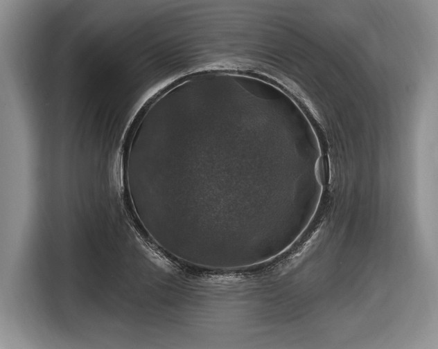 X0000116450838200912151258