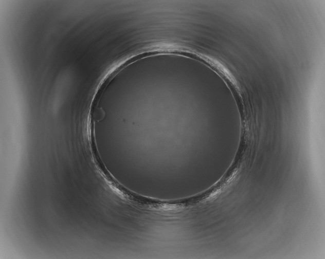 X0000116450839200912151258