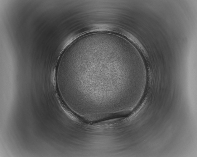 X0000116450842200912151258