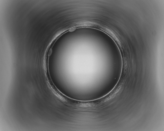 X0000116450843200912151258