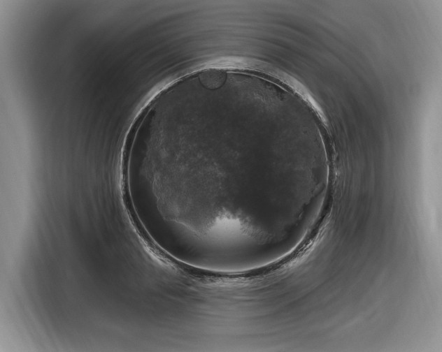 X0000116450845200912151258