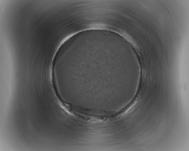 X0000116450846200912151258