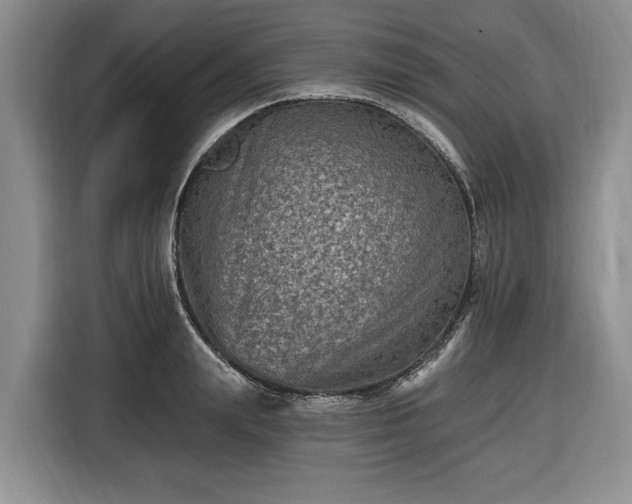 X0000116450847200912151258