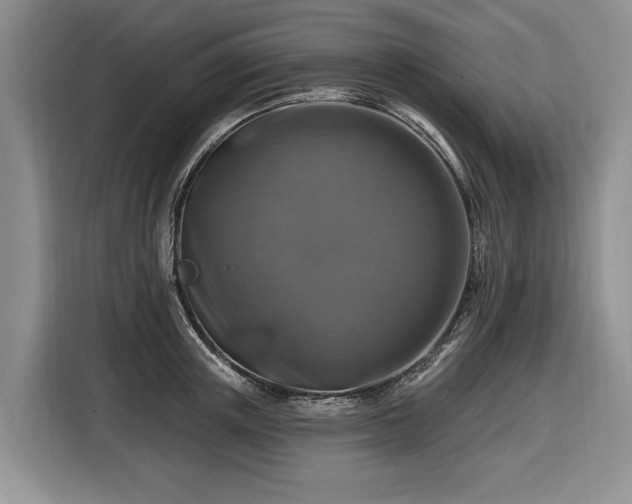 X0000116450851200912151258