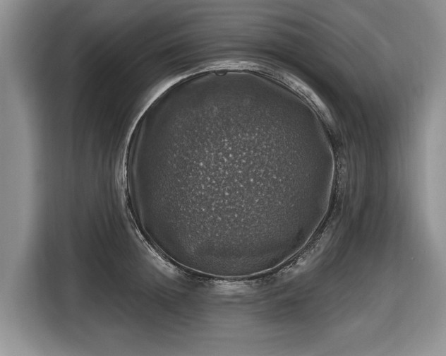 X0000116450852200912151258