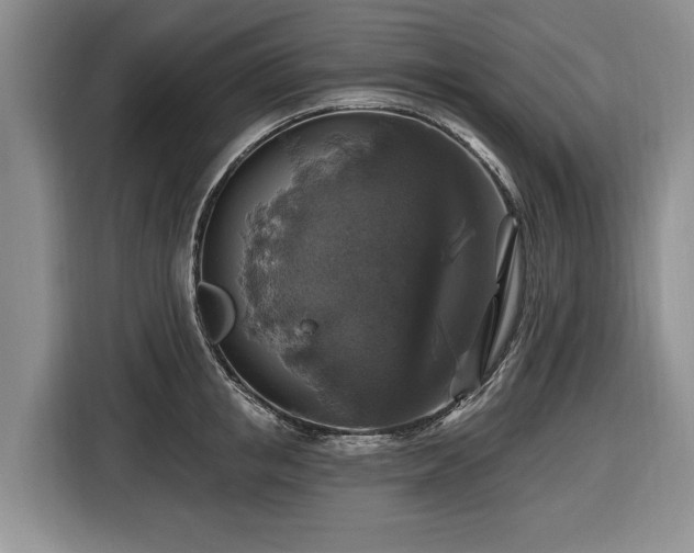 X0000116450853200912151258