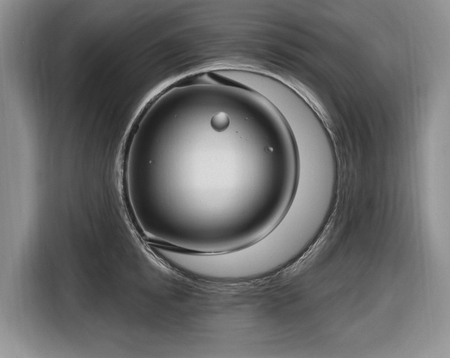 X0000116450854200912151258
