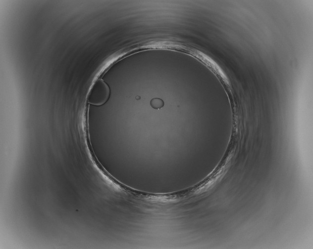 X0000116450855200912151258
