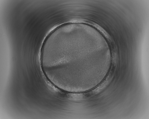 X0000116450856200912151259
