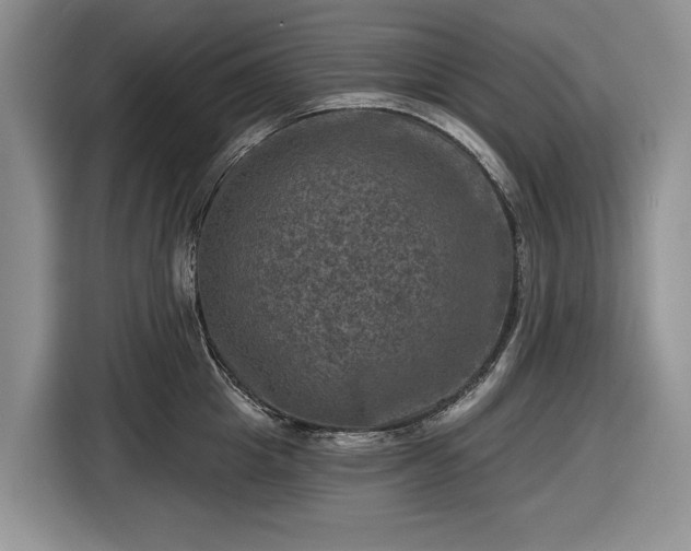 X0000116450857200912151259