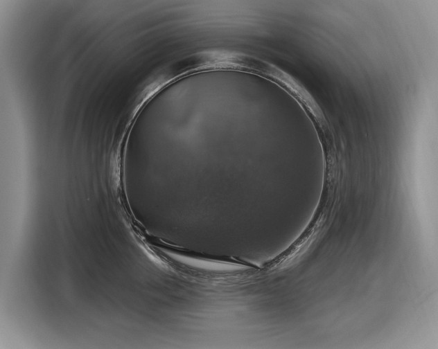 X0000116450858200912151259